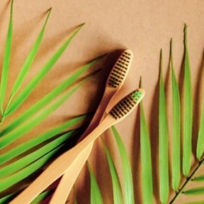 WhatsApp Image 2025-12-04 at 2.24.40 PM (1)